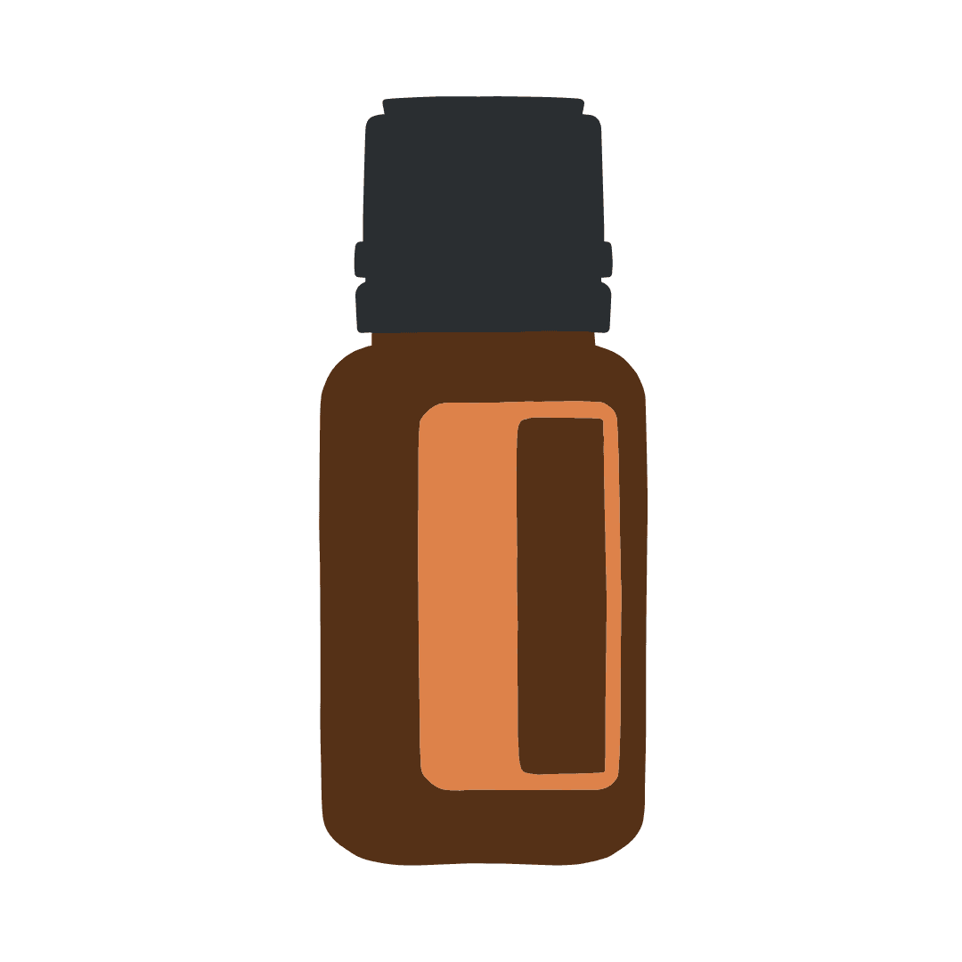 Arborvitae - Туя 